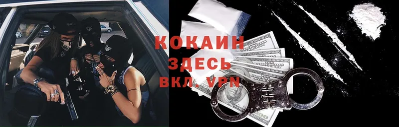 COCAIN FishScale  как найти наркотики  Новокубанск 