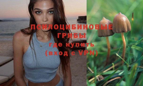 мескалин Нефтекумск