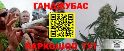 гидра Беслан