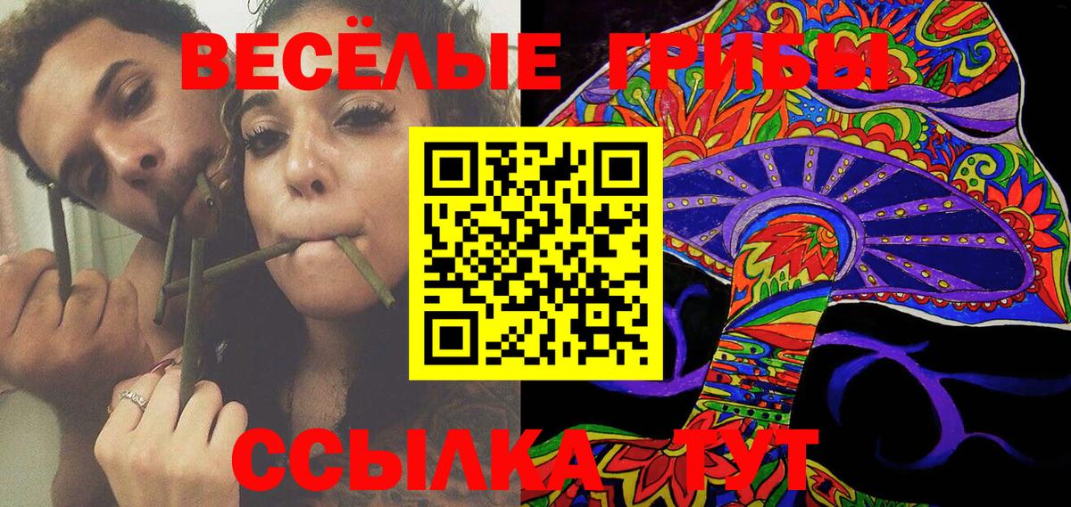 Галлюциногенные грибы ЛСД Новокубанск