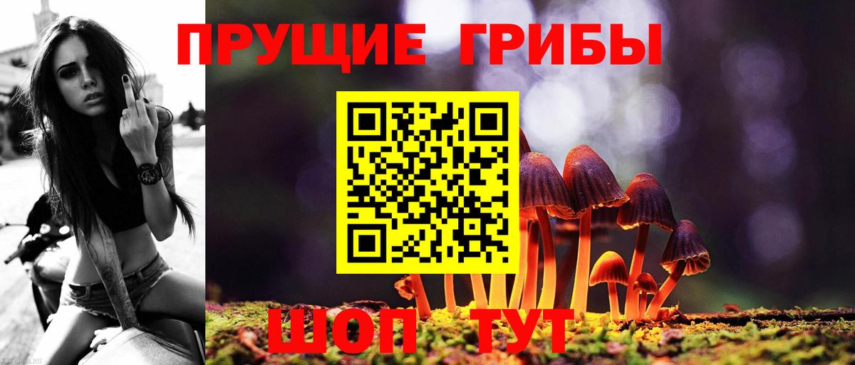 Галлюциногенные грибы MAGIC MUSHROOMS  Вход с VPN  Новокубанск 