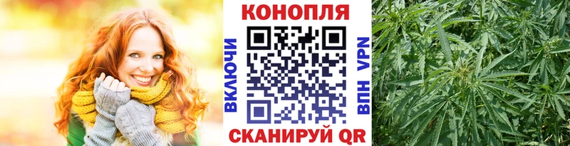 Каннабис сатива Новокубанск